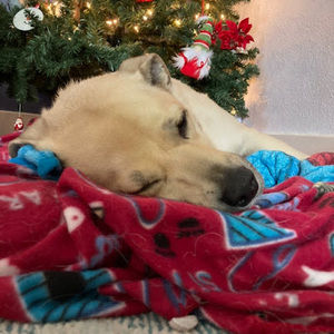 Meet your Posher, Skylar